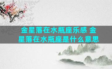 金星落在水瓶座乐感 金星落在水瓶座是什么意思